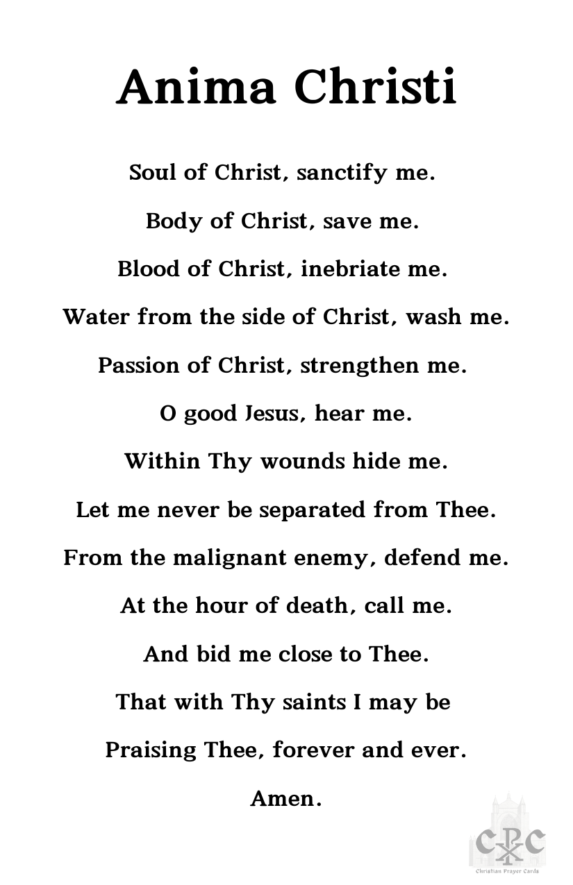 (33ct.) Holy Sacrifice of the Mass Cards