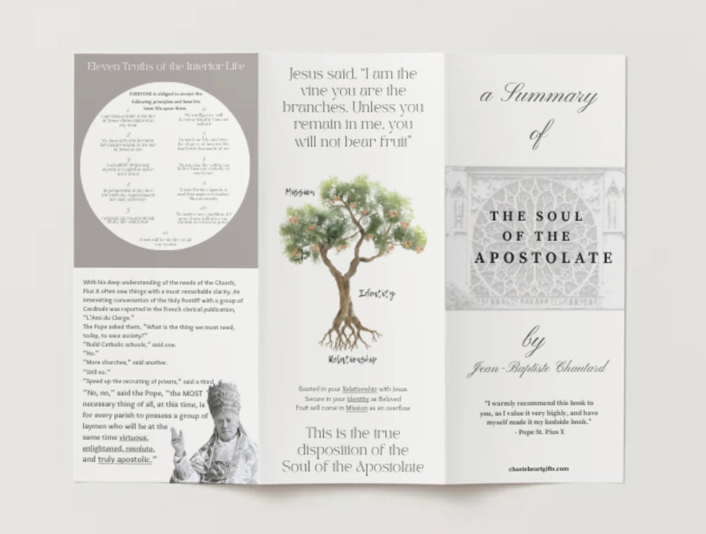 (1ct.) Summary of the Soul of the Apostolate