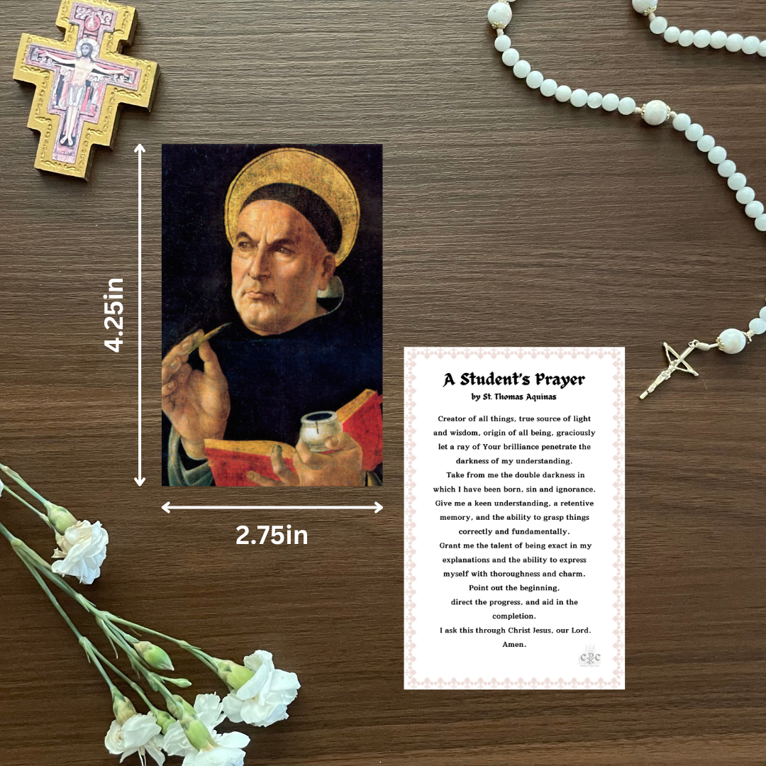 St Thomas Aquinas Prayer Card (set of 12)