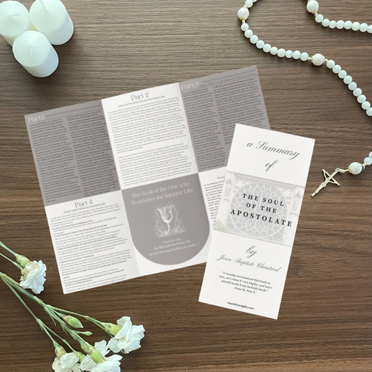 (20ct.) Summary of the Soul of the Apostolate