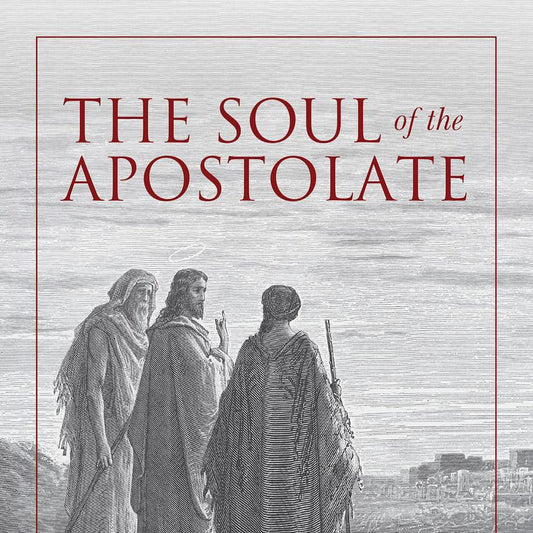 Summary of the Soul of the Apostolate Download